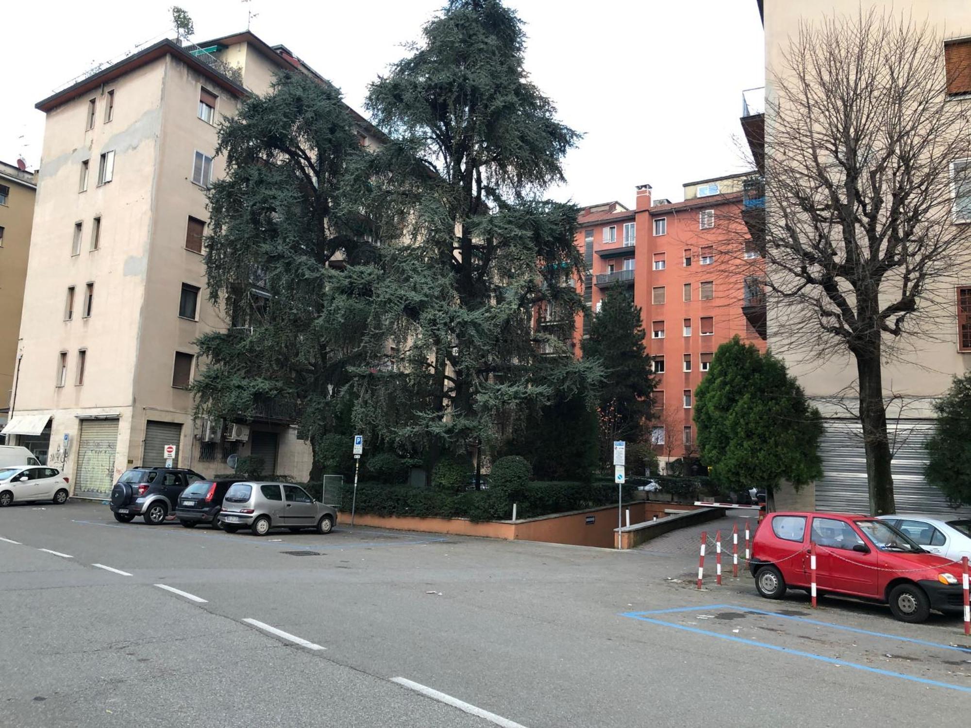 Tra Le Torri B&B - Ampia Stanza Privata In Appartamento Con Bagno Privato Accessibile Da Corridoio Bolonha Exterior foto